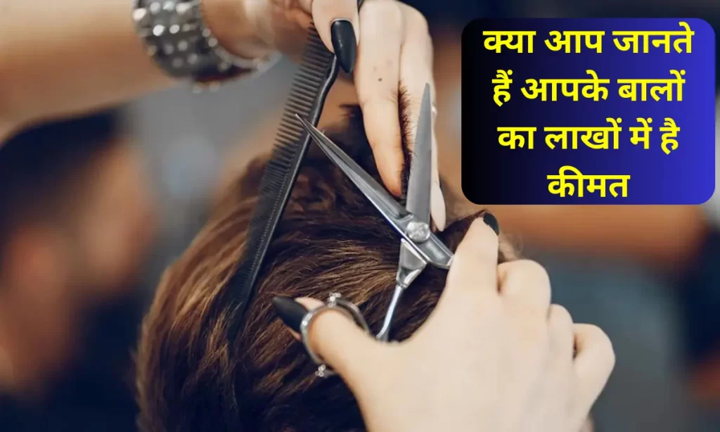 Indian Human Hair Business